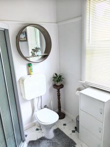 a bathroom with a toilet and a mirror at Hill’s Creek Holiday Home in Port Campbell