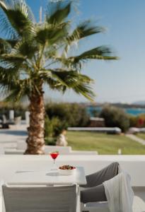 a table with a glass of wine and a palm tree at White Dunes Luxury Boutique Hotel in Santa Maria