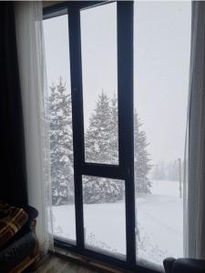 a window with a view of snow covered trees at Cottage SuBree on Goderdzi in Goderdzi