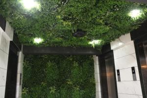 HOTEL KADAMB TREE外面的花园