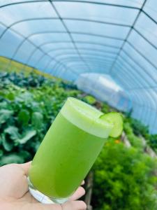 a person holding a green drink in a greenhouse at ViaVia Harganat Lodge 