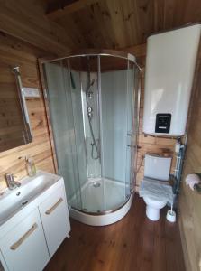 bagno con doccia e servizi igienici. di Chalet de fred a Saint-Ouen-de-Mimbré