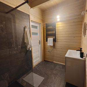 a bathroom with a shower and a sink at beskid.house1 in Spytkowice