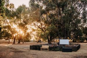 a park with a bunch of benches and trees at Margaret River Holiday Cottages in Margaret River Town