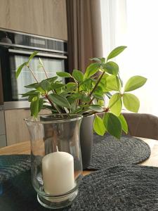 a candle and a plant in a vase on a table at Apartments with a balcony and an impressive terrace on the roof of the house - PRIVATE FREE CAR PARKING in Vilnius
