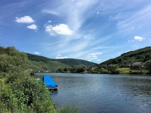 a blue boat in the middle of a lake at Ferienhaus Moselgasse in Zell an der Mosel