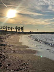 - une plage avec des palmiers et le soleil dans le ciel dans l'établissement Charmant T3 en résidence privée, à Marseille