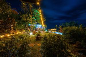 ogród oświetlony w nocy światłami w obiekcie Awesome Place w mieście Ella