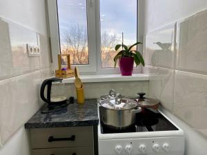 a kitchen with a pot on a stove with a window at Dendrarium Studio in Chişinău