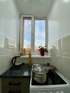 a kitchen with a stove and a sink with a window at Dendrarium Studio in Chişinău