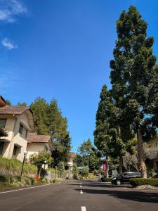 萬隆的住宿－普里塞緹阿布迪旅館，一条有车停在树旁的街道