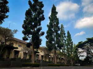 a row of trees in front of a building at Puri Setiabudhi in Bandung