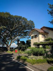 a house on the side of a street with a tree at Puri Setiabudhi in Bandung