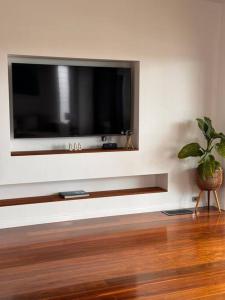 uma televisão de ecrã plano numa parede com um vaso de plantas em Shed. Holiday Apartment em Nelson Bay