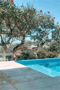 a blue swimming pool with trees in the background at Shed. Holiday Apartment in Nelson Bay