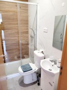 a bathroom with a toilet and a shower and a sink at Penedo Grande suítes T2 dúplex in São Bartolomeu de Messines
