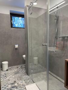 カルス・アム・グロースグロックナーにあるVilla Emiliaのバスルーム(ガラス張りのシャワー、トイレ付)
