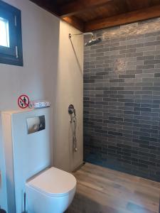 y baño con aseo y ducha de azulejos. en Kartalia wooden maisonette, en Porto Koufo