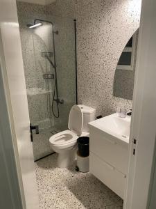 a bathroom with a shower and a toilet and a sink at Two Bedroom Condo - Just Renovated Great Location in Nicosia