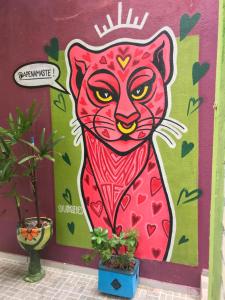 Φωτογραφία από το άλμπουμ του Apê Namastê στο Νατάλ +70 φωτογραφίες