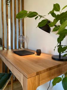 a wooden table with a plant on top of it at Design-Apartment in Langenbach