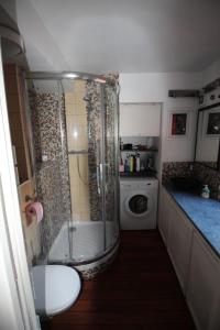ディエップにあるDieppe Quai Henri IVのバスルーム(シャワー、洗濯機付)