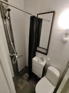 La salle de bains est pourvue de toilettes, d'un miroir et d'une douche. dans l'établissement Studio Porin Oksi, home away home in Pori city center, free parking, à Pori