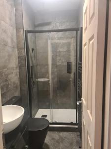 ein Bad mit einer Dusche, einem WC und einem Waschbecken in der Unterkunft Gc Petit Palais Dublin in Dublin