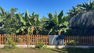 Gallery image of Finca Samuel and Apartments in Caleta de Interián