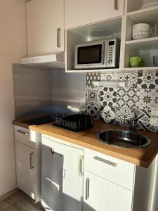 A kitchen or kitchenette at Studio Chaillol 1600