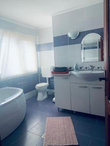 La salle de bains est pourvue d'un lavabo blanc et de toilettes. dans l'établissement Cabana Fundata, à Fundata