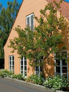 un árbol frente a una casa con flores en Aroma Guesthouse en Ærøskøbing