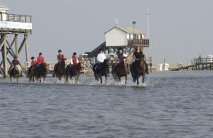 a group of people riding horses through the water at Immensee App F in Ehst