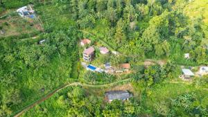 Příroda nedaleko hotelu + 168 fotografií