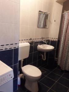 a bathroom with a toilet and a sink at Apartman in Trebinje