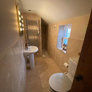 a bathroom with a sink and a toilet at Immaculate historical 2-Bed Cottage in The Fens in Lutton