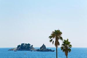 a palm tree and the ocean with islands in the background at Hotel Palas in Petrovac na Moru