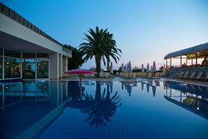 a swimming pool with a palm tree and a building at Hotel Palas in Petrovac na Moru