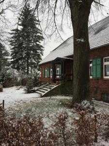 ein Haus mit einem Baum davor in der Unterkunft Zur schönen Müllerin in Wredenhagen