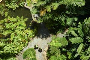 Jardín al aire libre en DoubleTree by Hilton Cairns