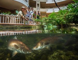 Animales en el hotel o alrededores