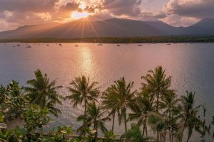 - une vue sur une étendue d'eau bordée de palmiers dans l'établissement Hilton Cairns, à Cairns