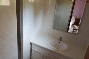 W białej łazience znajduje się umywalka i lustro. w obiekcie Les charmes en périgord noir proche de Sarlat w mieście Paulin