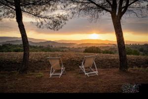 two chairs sitting in a field with the sunset in the background at Agriturismo La Casetta del Sole in Villastrada