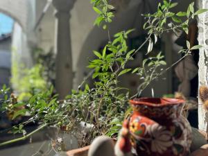 Giardino di LINZ CITY CENTER - Historisches Apartment & Refugium
