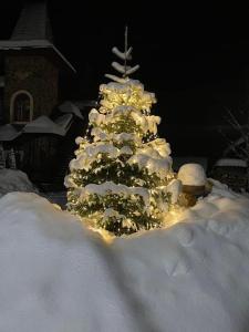 een kerstboom bedekt met sneeuw in een tuin bij Minihotel Zolotoe Runo in Ploskoye
