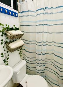 a bathroom with a blue and white shower curtain and a toilet at Warm sunset, Loft by the sea in La Libertad