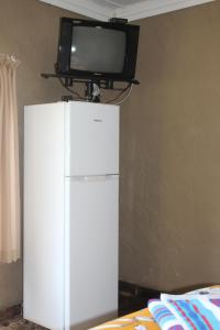 a television on top of a white refrigerator at Emahlathini Guest Farm in Piet Retief