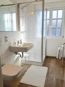 La salle de bains est pourvue d'une douche, d'un lavabo et de toilettes. dans l'établissement Nordseewölckchen 2, à Katingsiel