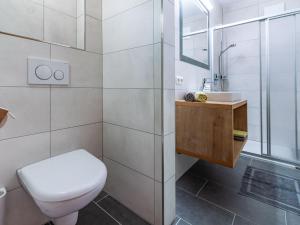 ein Bad mit einem WC, einem Waschbecken und einer Dusche in der Unterkunft Apartment Martina - KPL576 by Interhome in Kappl